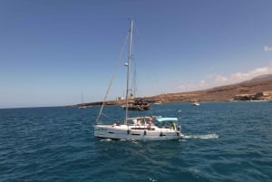 Tenerife: Excursión en yate para avistar ballenas y hacer snorkel