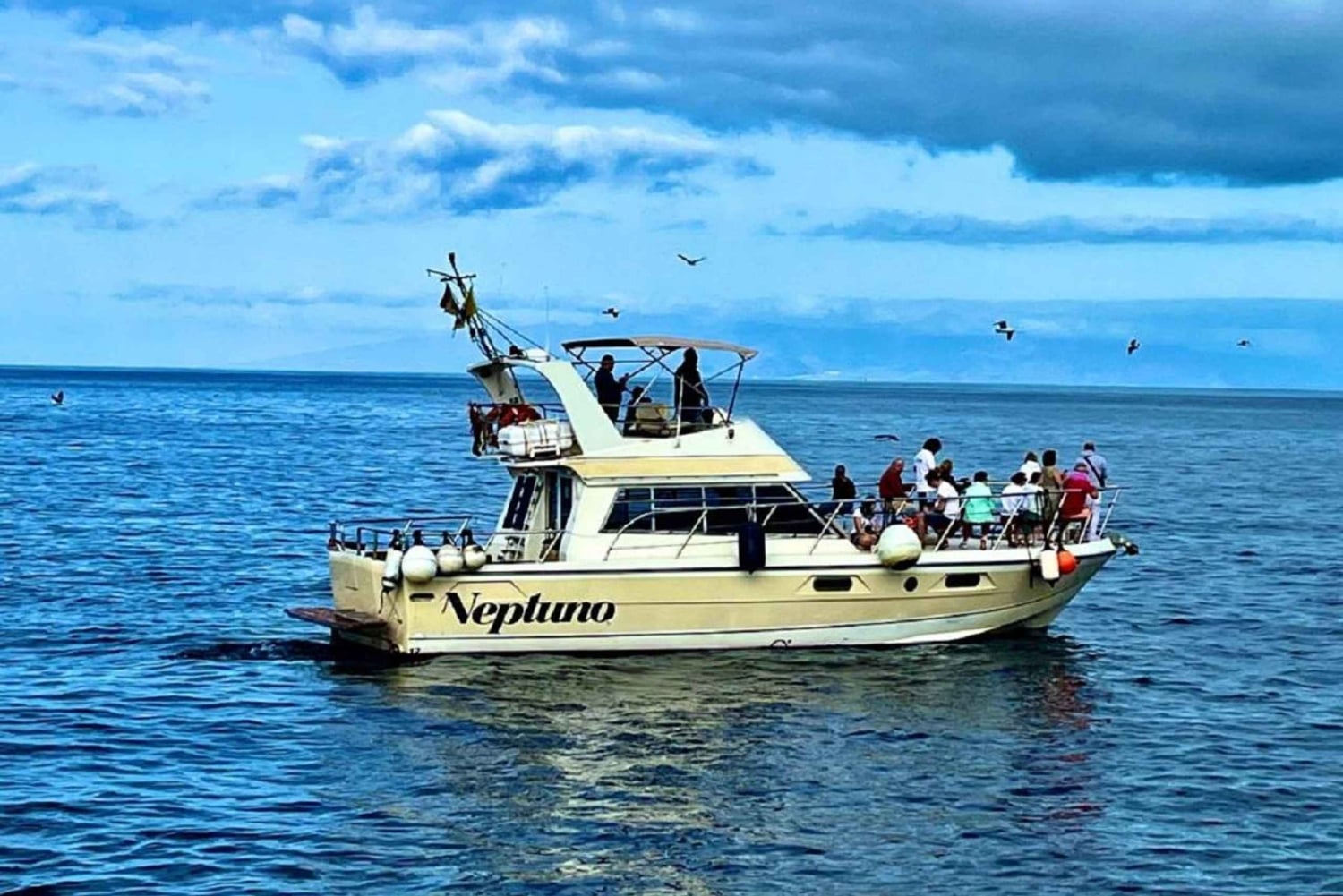 Tenerife: Tour de ballenas y baño en el mar en yate para 22 personas