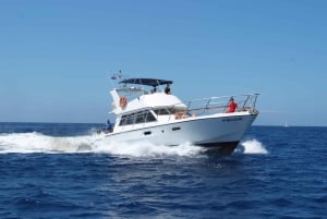 Tenerife: Tour de ballenas y baño en el mar en yate para 22 personas