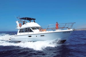 Tenerife: Tour de ballenas y baño en el mar en yate para 22 personas