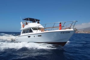 Tenerife: Tour de ballenas y baño en el mar en yate para 22 personas