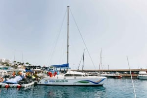 Costa Adeje: Whale Watching Catamaran Tour with Drinks