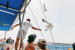 Costa Adeje: Whale Watching Catamaran Tour with Drinks