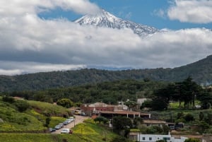 Teneryfa: Wyżyny Teno + Księżycowa sceneria – wędrówka z przewodnikiem