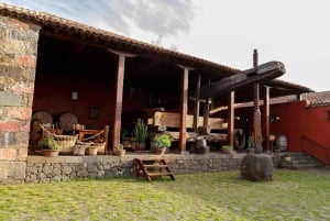 Тенерифе: билет в музей вина с дегустацией местных вин и еды