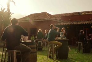 Тенерифе: билет в музей вина с дегустацией местных вин и еды