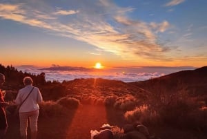 Tenerife: Degustação de vinhos com tapas, Teide ao pôr do sol (compartilhado)