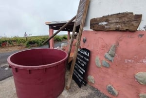 Tenerife: Cata de vinos con tapas, Teide al atardecer (compartido)