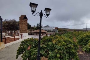 Tenerife: Degustação de vinhos com tapas, Teide ao pôr do sol (compartilhado)