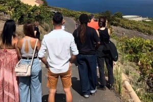 テネリフェ島ワインツアーへようこそ