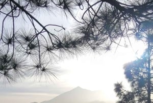 Teno: Kierros Erjosista vuorten harjanteen yli, josta on näkymä Mascaan