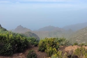 Teno: Kierros Erjosista vuorten harjanteen yli, josta on näkymä Mascaan