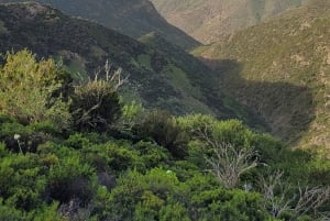 Teno: Kierros Erjosista vuorten harjanteen yli, josta on näkymä Mascaan