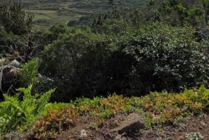 Teno: Kierros Erjosista vuorten harjanteen yli, josta on näkymä Mascaan