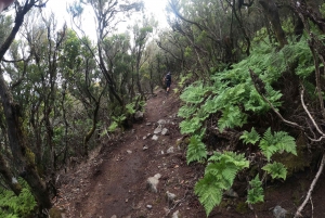'Ruta Panorámica: Explora Contrastes Naturales'