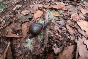 'Ruta Panorámica: Explora Contrastes Naturales'
