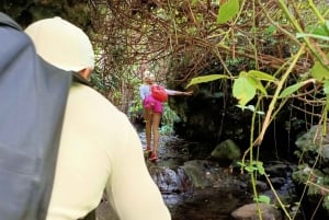 Teno Waterfalls and the Tropical Jungle of Tenerife