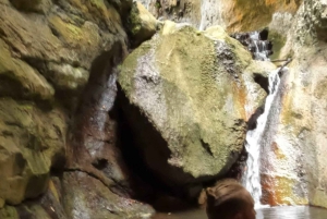 Teno Waterfalls and the Tropical Jungle of Tenerife
