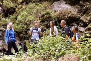 Teno Waterfalls and the Tropical Jungle of Tenerife