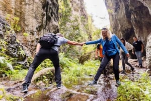 Teno Waterfalls and the Tropical Jungle of Tenerife