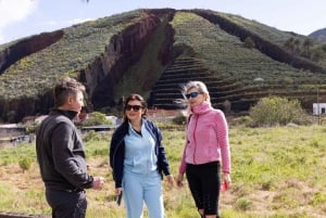 Teno Waterfalls and the Tropical Jungle of Tenerife