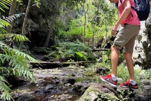 Teno Waterfalls and the Tropical Jungle of Tenerife