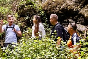 Teno Waterfalls and the Tropical Jungle of Tenerife