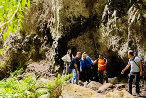 Teno Waterfalls and the Tropical Jungle of Tenerife