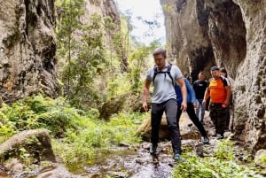Teno Waterfalls and the Tropical Jungle of Tenerife