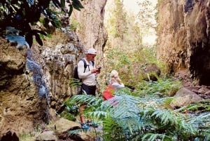 Teno Waterfalls and the Tropical Jungle of Tenerife