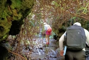 Teno Waterfalls and the Tropical Jungle of Tenerife
