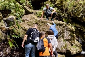 Teno Waterfalls and the Tropical Jungle of Tenerife