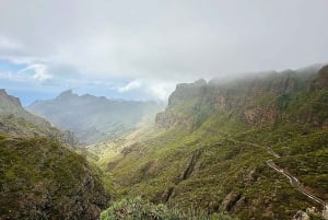 Teno Waterfalls and the Tropical Jungle of Tenerife