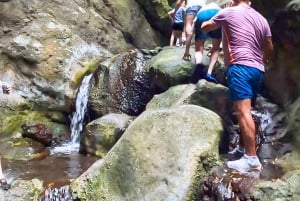 Teno Waterfalls and the Tropical Jungle of Tenerife