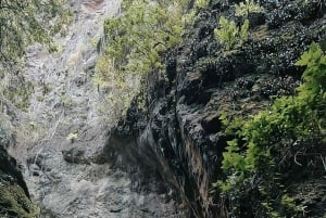 Teno Waterfalls and the Tropical Jungle of Tenerife