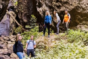 Teno Waterfalls and the Tropical Jungle of Tenerife