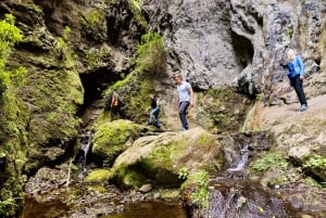 Teno Waterfalls and the Tropical Jungle of Tenerife