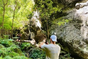 Teno Waterfalls and the Tropical Jungle of Tenerife