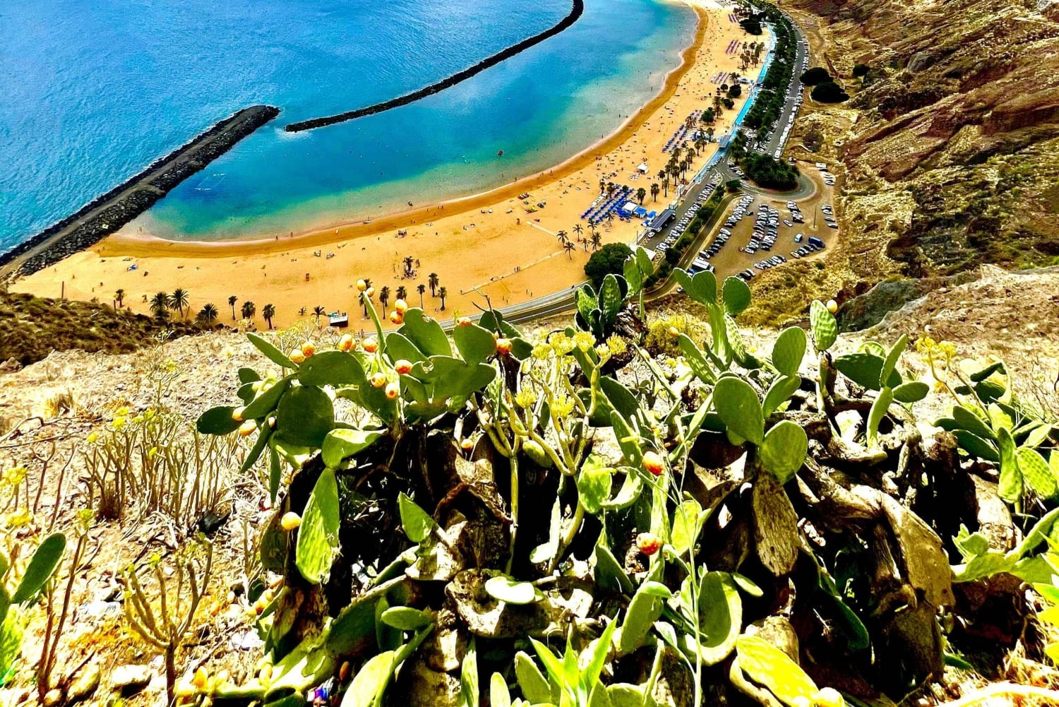 I misteri di Tenerife : Tour privato alla scoperta dell’isola Max 8 persone