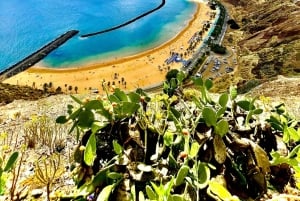 I misteri di Tenerife : Tour privato alla scoperta dell’isola Max 8 persone