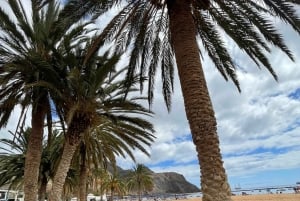 I misteri di Tenerife : Tour privato alla scoperta dell’isola Max 8 persone