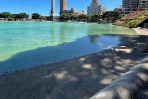 I misteri di Tenerife : Tour privato alla scoperta dell’isola Max 8 persone