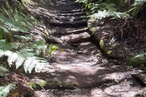 I misteri di Tenerife : Tour privato alla scoperta dell’isola Max 8 persone