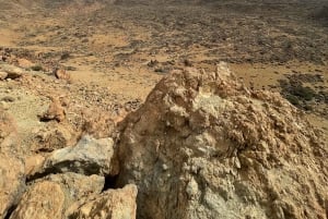 I misteri di Tenerife : Tour privato alla scoperta dell’isola Max 8 persone