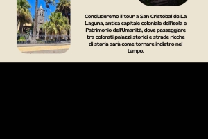 I misteri di Tenerife : Tour privato alla scoperta dell’isola Max 8 persone