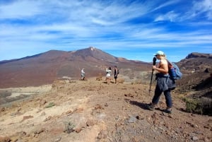 ワウファクターウォーク