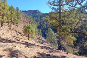 ワウファクターウォーク