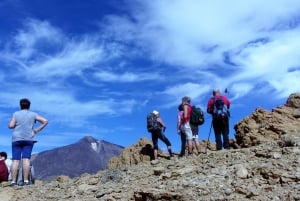 ワウファクターウォーク