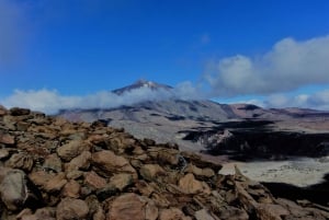 ワウファクターウォーク