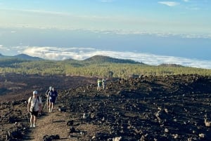 Trek Through Teide with a Lava Tube Adventure.